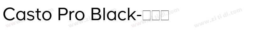 Casto Pro Black字体转换